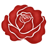 röd reste sig blomma teckning illustration png