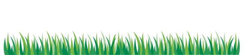 illustration de bannière d'herbe png