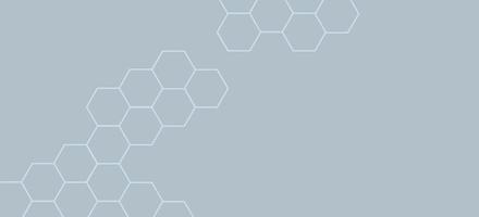 Hexagonal background honeycomb vector