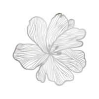 Silver Metallic Flower Outlined png