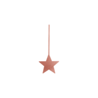 Rose Gold Metallic Decorative Star png