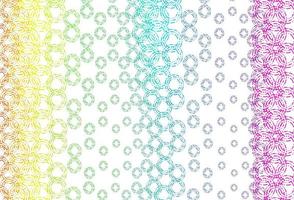 Light multicolor, rainbow vector backdrop with dots.