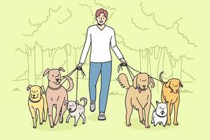 Smiling man walking dogs on leashes in park. Happy male walker provide professional pet walk service. Domestic animals care concept. Flat vector illustration.