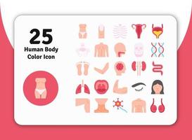 25 icono de color del cuerpo humano ruta 2 vector