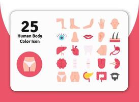 25 ruta de icono de color de cuerpo humano 1 vector