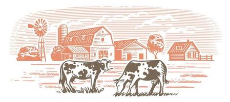 Cows on fram meadow vector. Hand drawn sketch livestock
