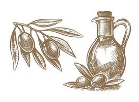 Olive branch and bottle oil. vector