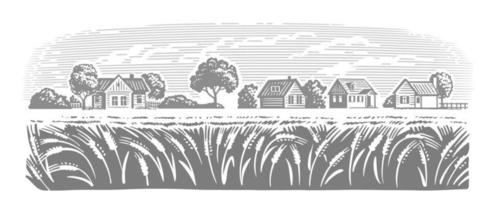 paisaje de agricultura orgánica de trigo. granja y campos con cosecha vector