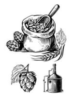 Bag wheat with hop sketch. Brewing drawing vector