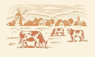 Cows grazing on meadow. Hand drawn sketch livestock with grass and plants vector