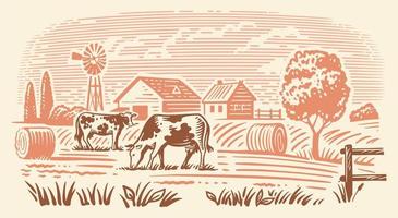Cows on fram meadow vector. Hand drawn sketch livestock vector