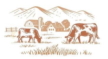 Cows on village meadow vector. Hand drawn sketch livestock with mountain vector