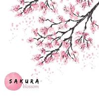 Sakura japan cherry branch with blooming flowers vector illustration. Hand drawn style.