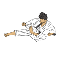 ilustración del icono de karate png