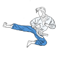 ilustración del icono de karate png