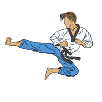 ilustración del icono de karate png