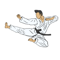 ilustración del icono de karate png