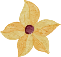 clipart aquarelle de pétales de fleurs jaunes png