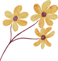 clipart em aquarela de flores png