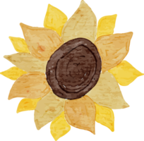 Sunflower Watercolor Clip Art png
