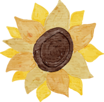 zonnebloem waterverf klem kunst png