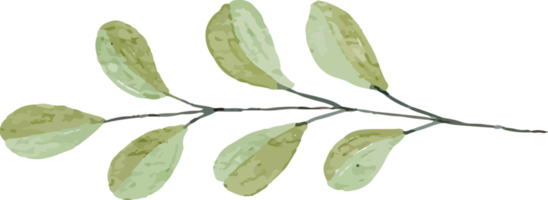 clip art de acuarela de hoja png