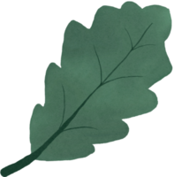 watercolour green leaf png