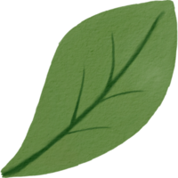 watercolour green leaf png