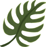 waterverf groen blad png