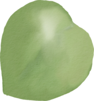 folha verde aquarela png