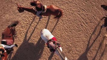 fotografia aérea. cavaleiros montam cavalos. hipódromo. video