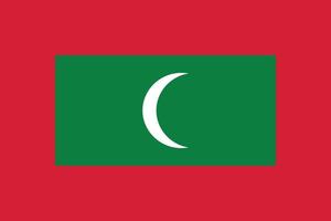 The National flag of Maldives vector illustration