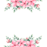 Watercolor pink flower frame png