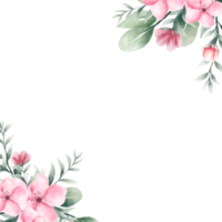 waterverf roze bloem kader png