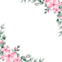Watercolor pink flower frame png
