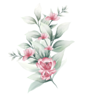 acquerello rosa mazzo png