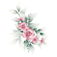 acquerello rosa mazzo png