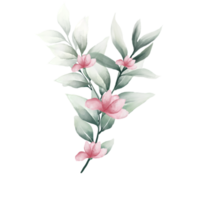 aquarell rosa blumenstrauß png