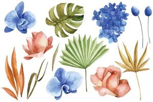watercolor drawing, set of dry tropical leaves and flowers in boho style. dried flowers, palm leaves, roses, pink and blue orchid vector