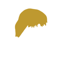 gyllene santa hatt png