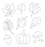 Forest leaves, pumpkin, acorn unomed one line set. Autumn leaf linear collection. Simple outline forest elements. vector