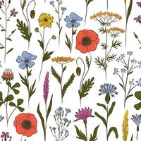 WHITE VECTOR SEAMLESS BACKGROUND WITH MULTICOLORED WILDFLOWERS