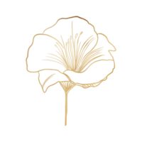 Gold Metallic Flower Outlined png