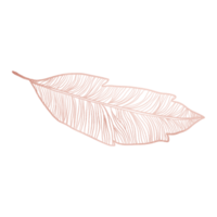 Rose Gold Metallic Leaf Outlined png