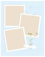 Vintage collage template for photo book, reminders, social media, notes, to do list. Scrapbooking herbarium chamomile. vector