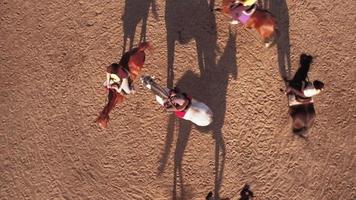 Aerial photography. Riders ride horses. Hippodrome. video