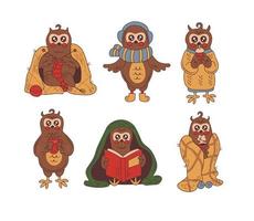 Cozy owl character in winter and autumn set vector