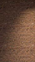 Bricks wall background with a light in movement. 3D vertical animation loop. video