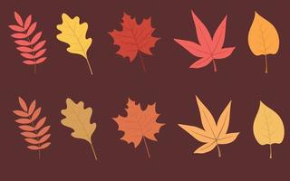conjunto de coloridas hojas de otoño. ilustración vectorial. vector