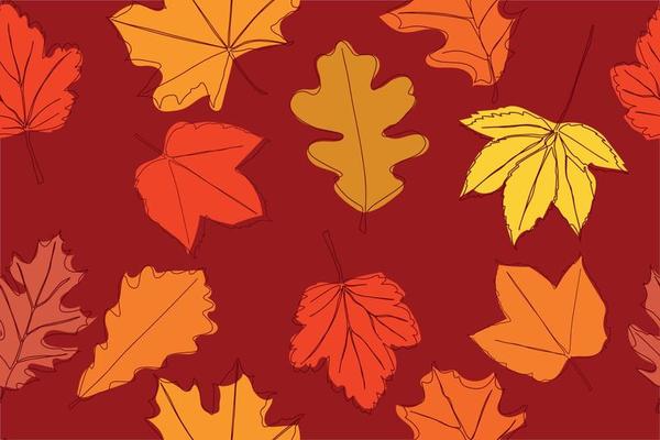 Seamless pattern of autumn leaves.Vector illustration.